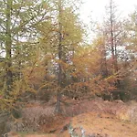 Гостевой дом Sneznik
