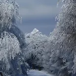 Vendégház Sneznik 3*