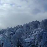 Sneznik Гостевой дом Sneznik