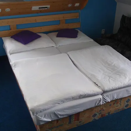Guest house Sneznik 3*