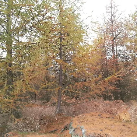 Penzion Sněžník
