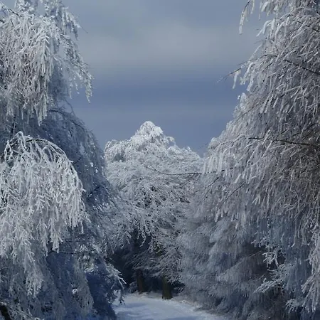 Konukevi Sneznik 3*