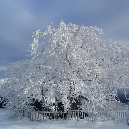 Pensjonat Sneznik