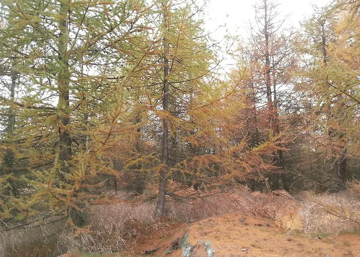 Pensjonat Sneznik