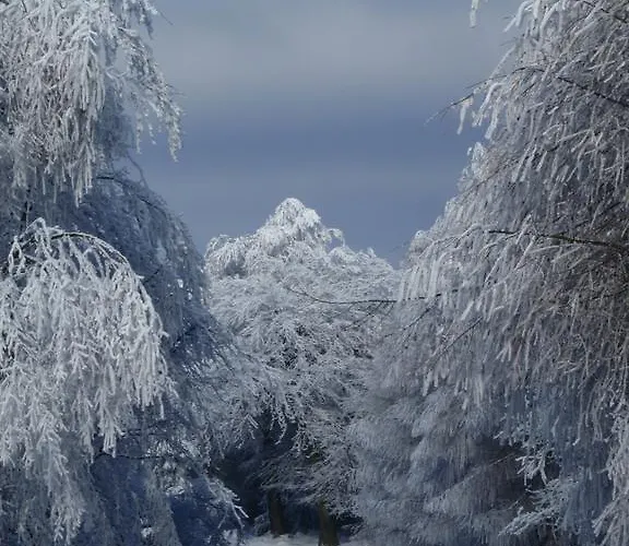 Pensjonat Sneznik 3*